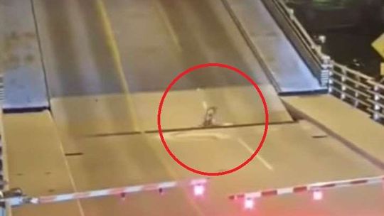 USA: Nieprawdopodobny upadek. Rowerzystka wpadła w dziurę między mostem a drogą [wideo]