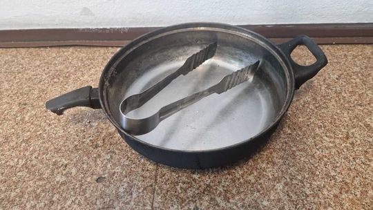 Usmażyli ptaka i to nagrali. Teraz odpowiedzą przed sądem