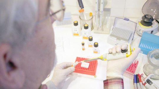 Ustalili płeć dziecka, które zmarło w 8 tygodniu ciąży