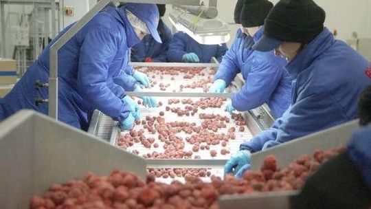 Utrwalić żywność bez konserwantów