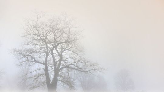 Uwaga! Gęsta mgła w całej Polsce. IMGW wydaje alerty