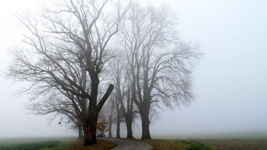 Uwaga kierowcy - w nocy i nad ranem będzie mglisto. IMGW wydało ostrzeżenia