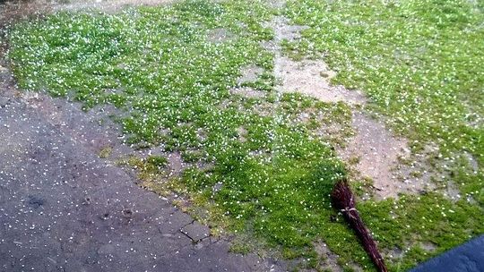 Uwaga na burze z deszczem, silnym wiatrem i gradem