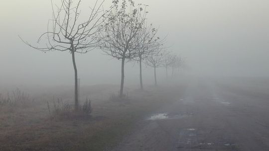 Uwaga na mgły - ostrzeżenie IMGW