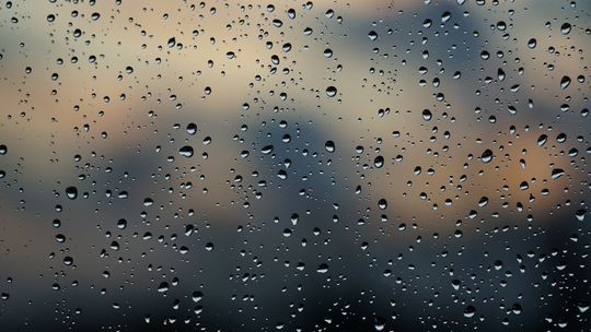 Uwaga na silny wiatr. Ostrzeżenia dla Lubelszczyzny