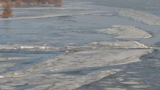 Uważaj na swojego psa. Jeden nie miał szczęścia, co stało się z drugim?