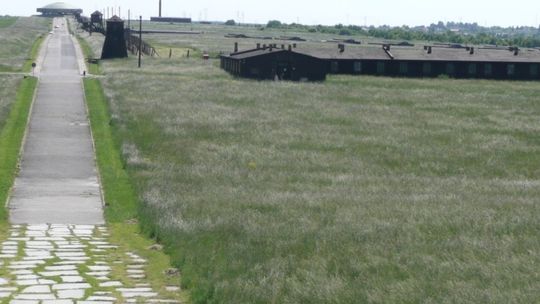 Uznanie dla lubelskich radnych za decyzję w sprawie krematorium na Majdanku