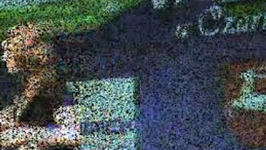 V Edycja \"Mam Talent u Czarniecczyków\" 