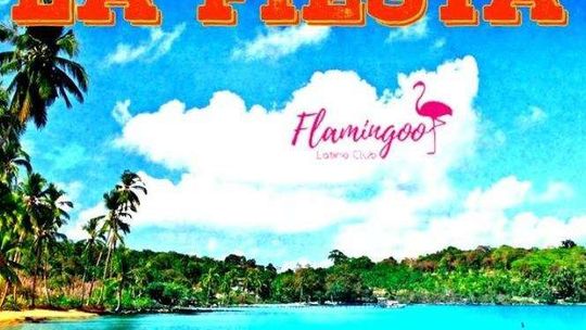 Viva la Fiesta we Flamingoo Latino Club