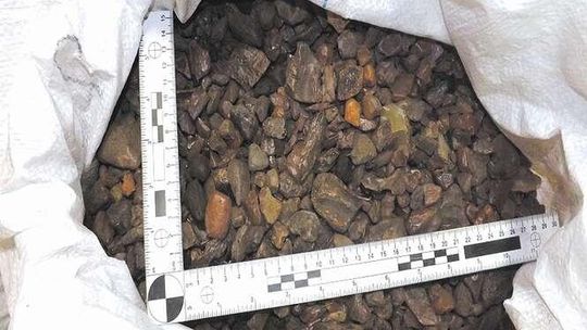 Volkswagen "napędzany" bursztynem