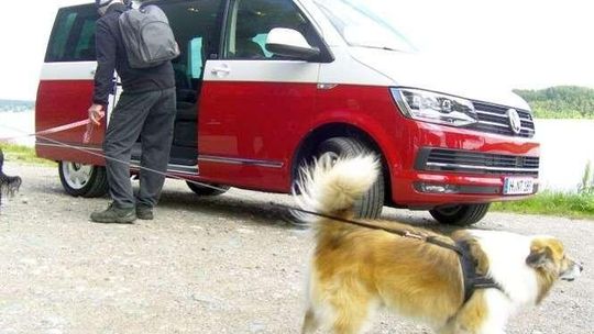 Volkswagen Transporter w nowej wersji