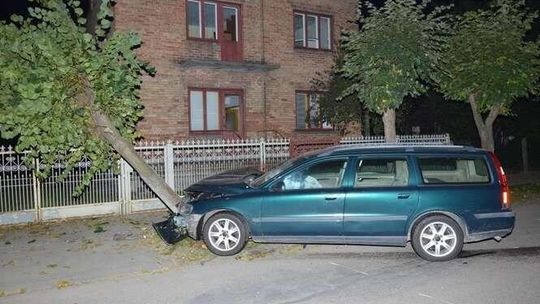 Volvo staranowało drzewo po zderzeniu z renault (zdjęcia)