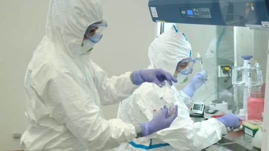 W całej Polsce 240 nowych przypadków koronawirusa. Najwięcej w woj. śląskim