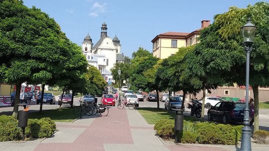 W Chełmie będzie więcej drzew "dla leniwych"