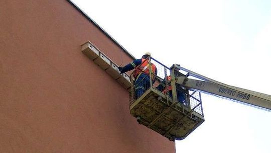 W Chełmie zamontują 360 domków dla jerzyków