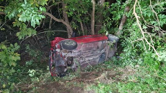 W Ciotuszy Nowej clio wjechało do rowu