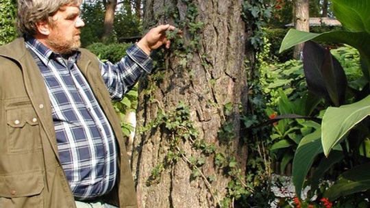 W czerwonej księdze roślin