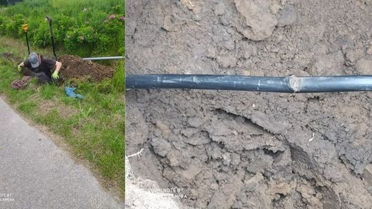 W gminie Zamość sprawdzali, czy znaki nie są pod napięciem. Jeden śmiertelnie poraził psa