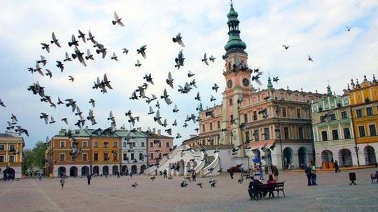 W jakim stanie jest miasto Zamość? Jest raport. Będzie dyskusja na sesji