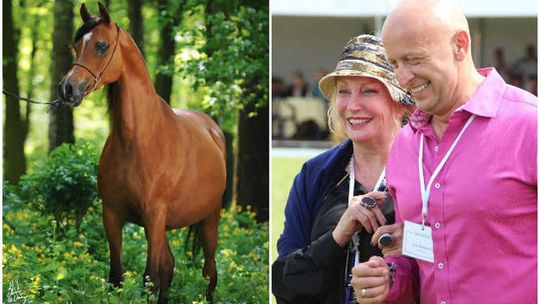 W Janowie Podlaskim padła klacz Preria. Należała do żony perkusisty Rolling Stones. Zapłaciła za nią 230 tys. euro