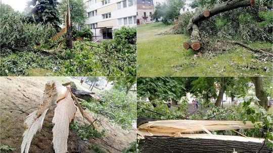 W jednej chwili Lublin stracił 200 drzew. Najgorszy kataklizm od kilkunastu lat