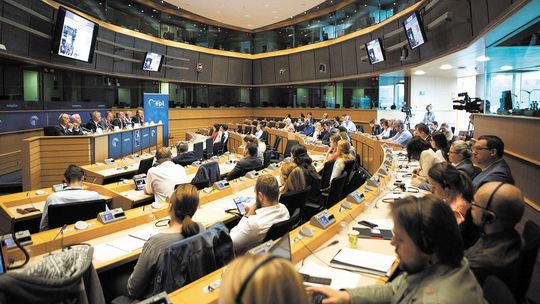 W jednym gospodarstwie w woj. lubelskim trzeba było zabić 1151 świń. ASF zagraża Europie