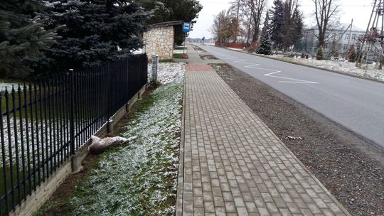 W końcu zabrali sarnę. Leżała koło płotu kilka dni