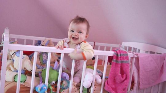 W kraju Lena, w Lublinie nadal Julka