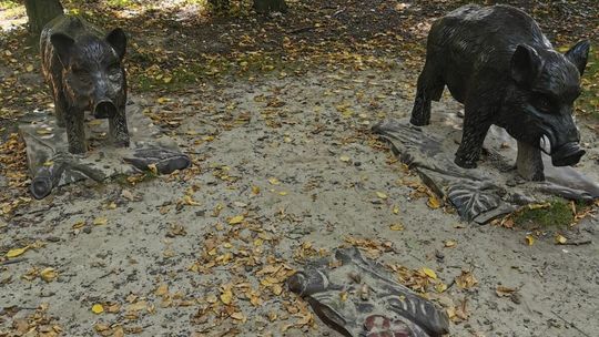 W Kraśniku wandale wyrwali "małego dzika". "No szczyty już osiągają" [zdjęcia]