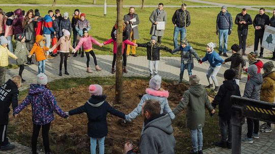 W Łęcznej posadzili 8,5 metrową lipę. Jedno takie drzewo oczyszcza powietrze jak 500 małych sadzonek