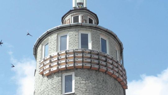 W Łęcznej to jerzyki wyłapią komary. "Chemiczne opryski wykonujemy jedynie punktowo"