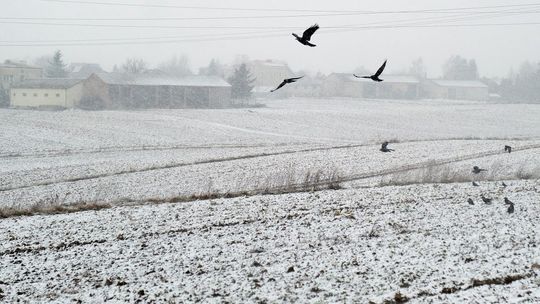 W Lublinie grzali przez 243 dni. To był najcieplejszy sezon w historii