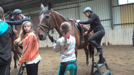 W Lublinie powstanie profesjonalna kryta ujeżdżalnia i hipodrom. Skorzystają nie tylko studenci