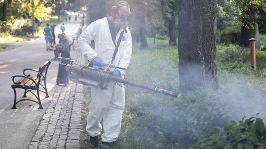 W Lublinie rozpoczęło się odkomarzanie. Pełna lista miejsc oprysków