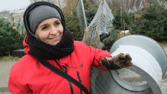 W Lublinie sprzedaje choinki z własnej plantacji. A na transmisjach ubrania. "Takie życie"