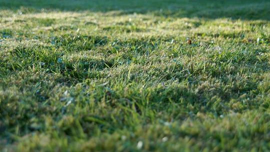 W Łukowie będą nowe działki budowlane 