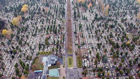 W niedzielę nawet 23 stopnie. A jaka pogoda we Wszystkich Świętych?