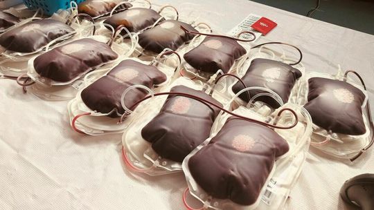 W niedzielę upuszczą krwi i dadzą za to prezenty