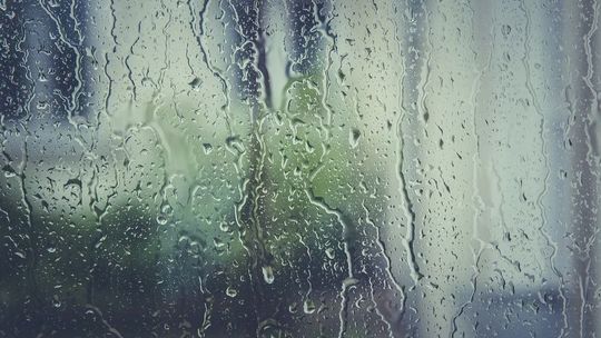 W nocy przymrozki, a w ciągu dnia deszcz. Prognoza pogody na środę