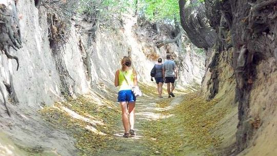 W obronie Korzeniowego Dołu w Kazimierzu. Oburzenie na pomysł wybrukowania i oświetlenia