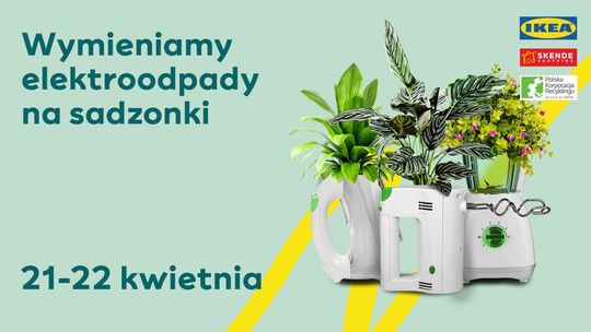 W piątek i sobotę specjalna akcja w Lublinie. Sadzonki za elektrośmieci w SKENDE i IKEA