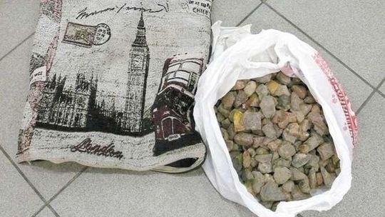 W poduszce przemycał bursztyn "do okładania kręgosłupa”