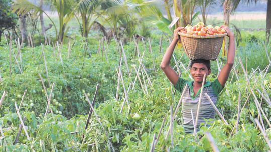 W Polsce jest coraz więcej wakatów. Firmy ściągają pracowników z Bangladeszu czy Indii 