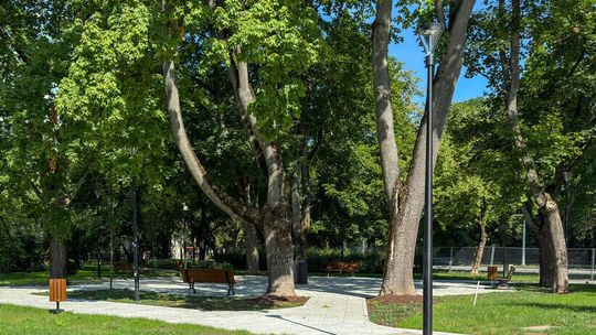 W poniedziałek otwarcie skweru im. Józefa Życińskiego