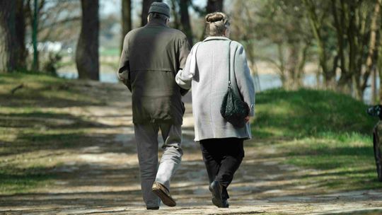 W poniedziałek seniorzy będą w Botaniku. Wnuki muszą dać im wolne