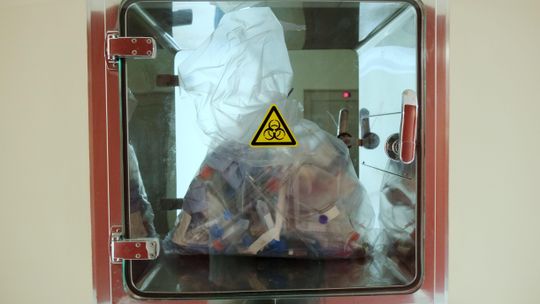 W Puławach potwierdzono zakażenie norek koronawirusem. Zwierzęta czeka śmierć