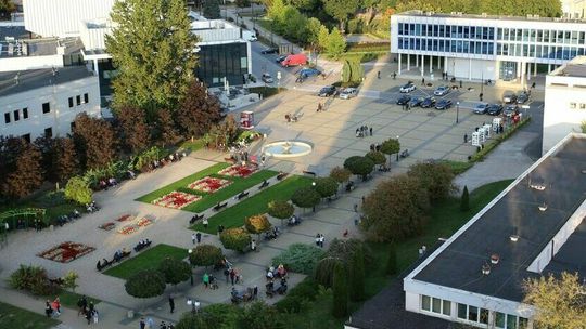 W Puławach powstanie nowe osiedle. Wytną fragment lasu