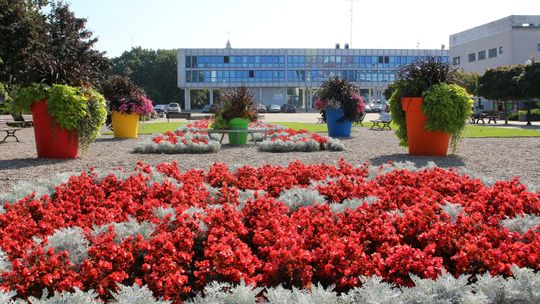 W Puławach wybierają obywatelskie pomysły. Trwa głosowanie
