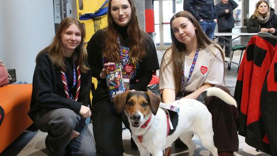 W puławskim WOŚP na sportowo. Biegi, kijki, morsowanie W powiecie puławskim 34. finał WOŚP przebiega pod znakiem sportowej rywalizacji i koncertów w Domu Chemika