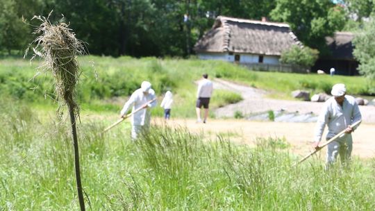 W skansenie atmosfera wciąż napięta. Pracownicy piszą do marszałka w sprawie dyrekcji